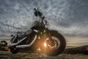 开云网址-世界马术锦标赛中国骑手进入前十，中国马术冠军骑手有哪些